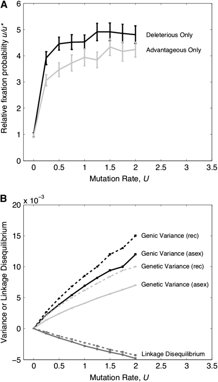 Figure 5.—