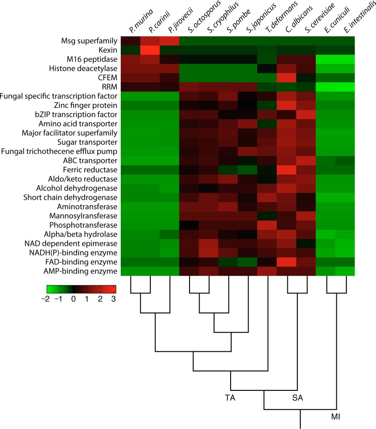 FIG 2