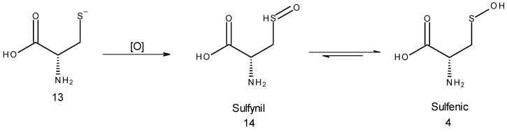 Scheme 4