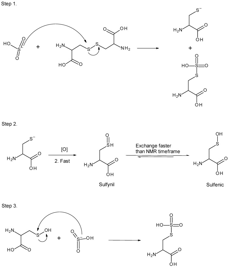 Scheme 5