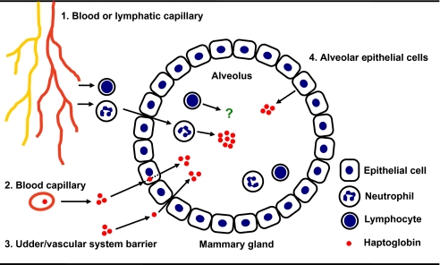 Figure 6.