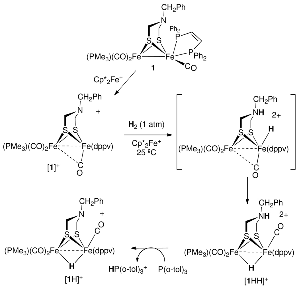 Scheme 1