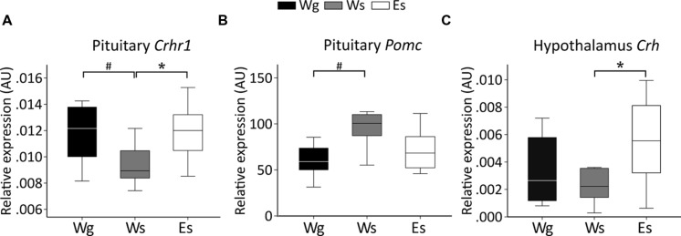 FIGURE 3