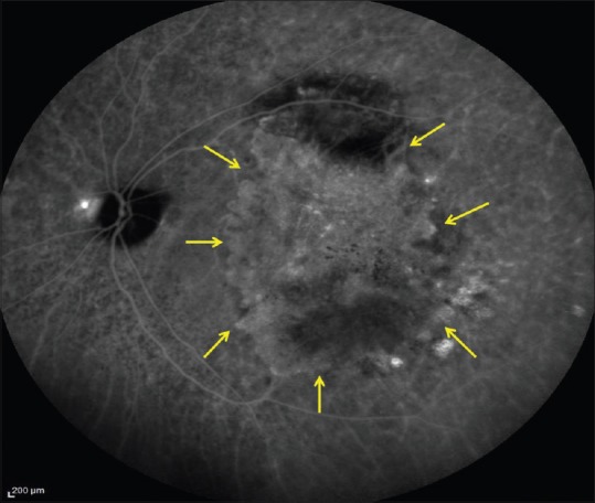 Figure 7