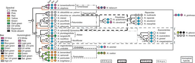 Fig. 6.