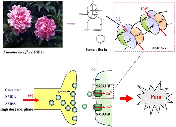 Fig. 11