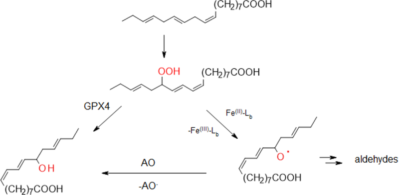 Scheme 1