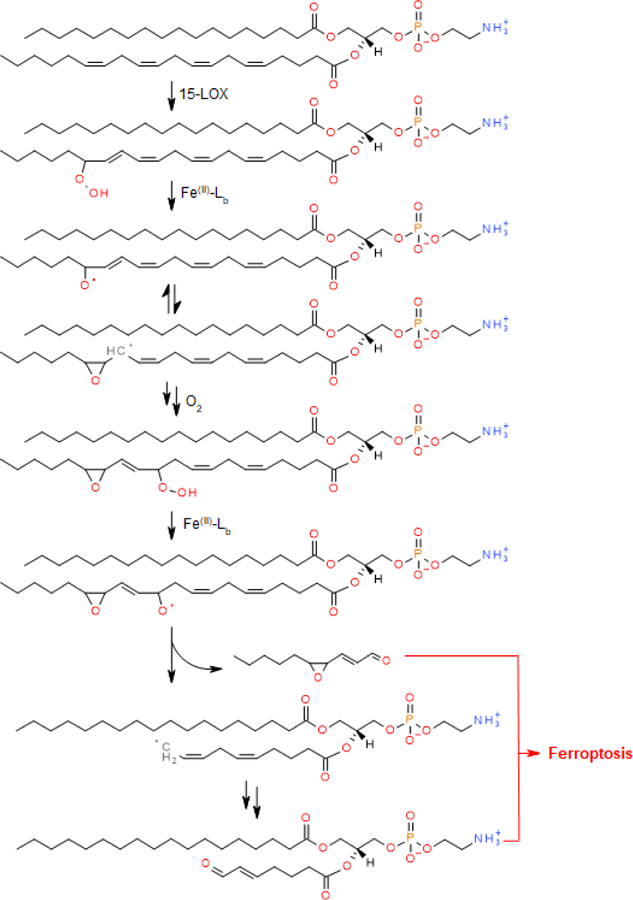 Scheme 2