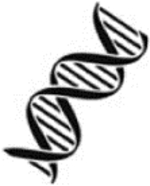 graphic file with name nihms-1785159-t0001.jpg