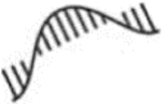 graphic file with name nihms-1785159-t0004.jpg