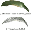 Figure 15