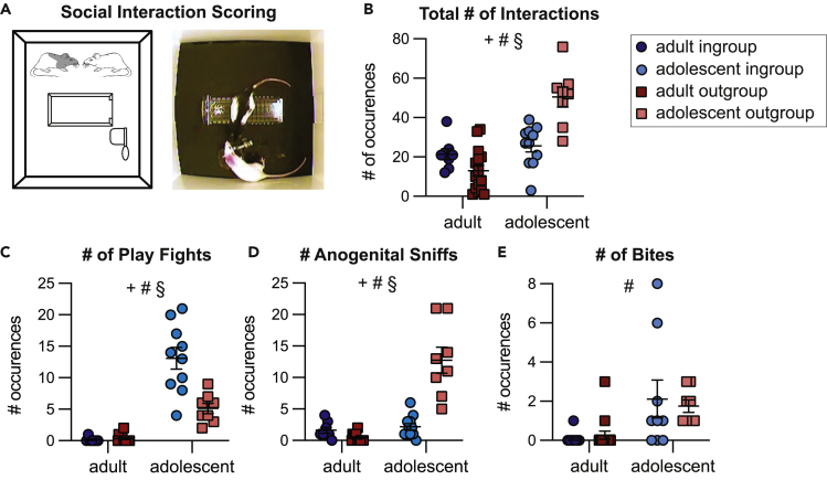 Figure 2