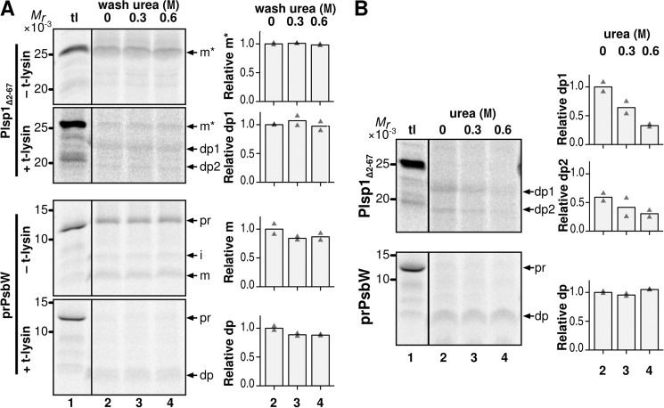 FIGURE 9.