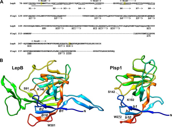 FIGURE 1.