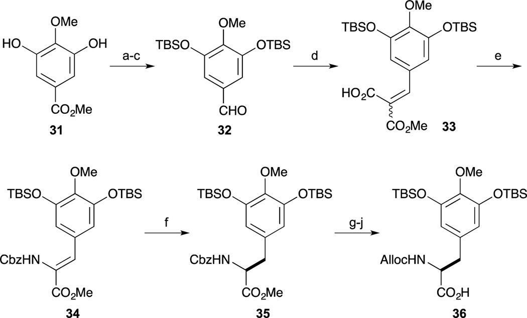 Scheme 2