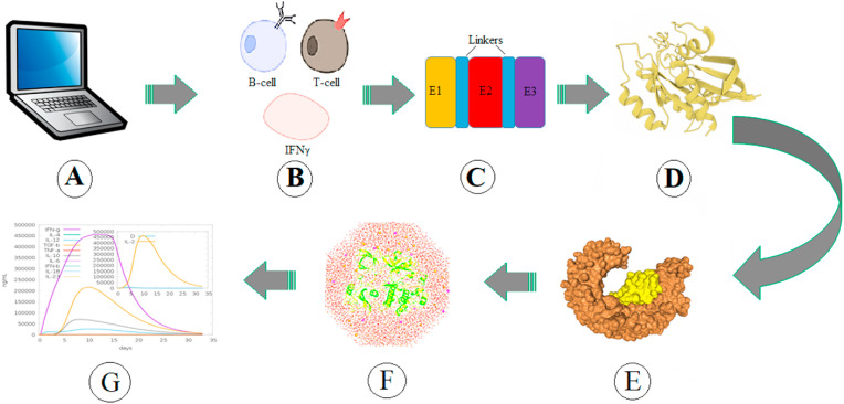 Fig. 2