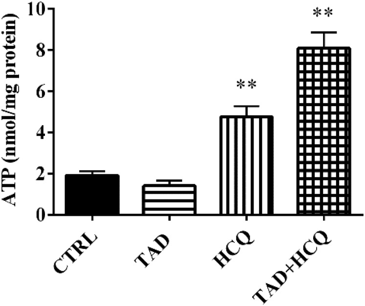 Fig. 8.