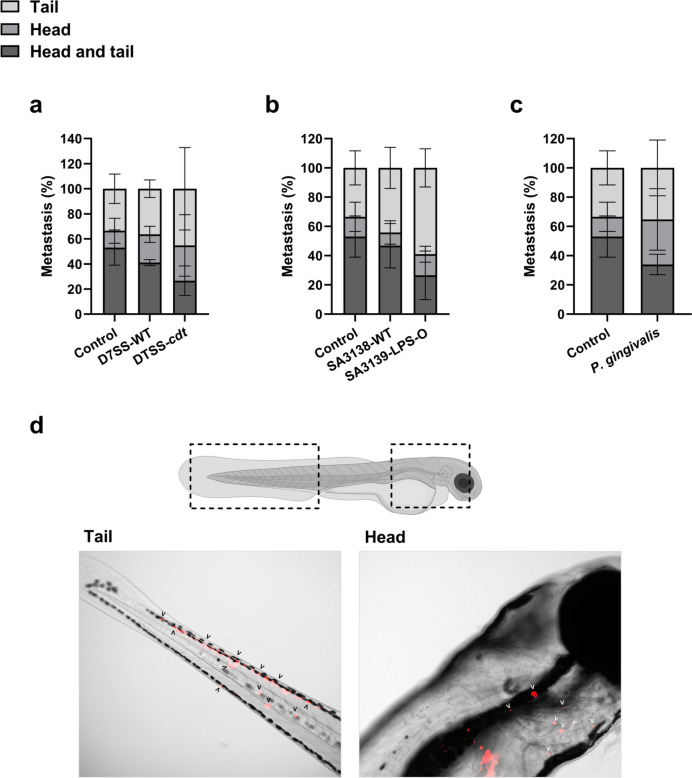 Fig. 3