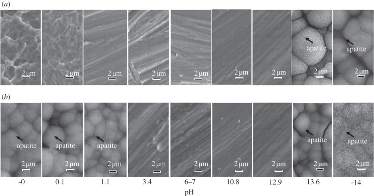 Figure 5.