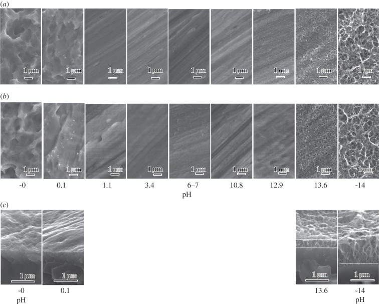 Figure 1.