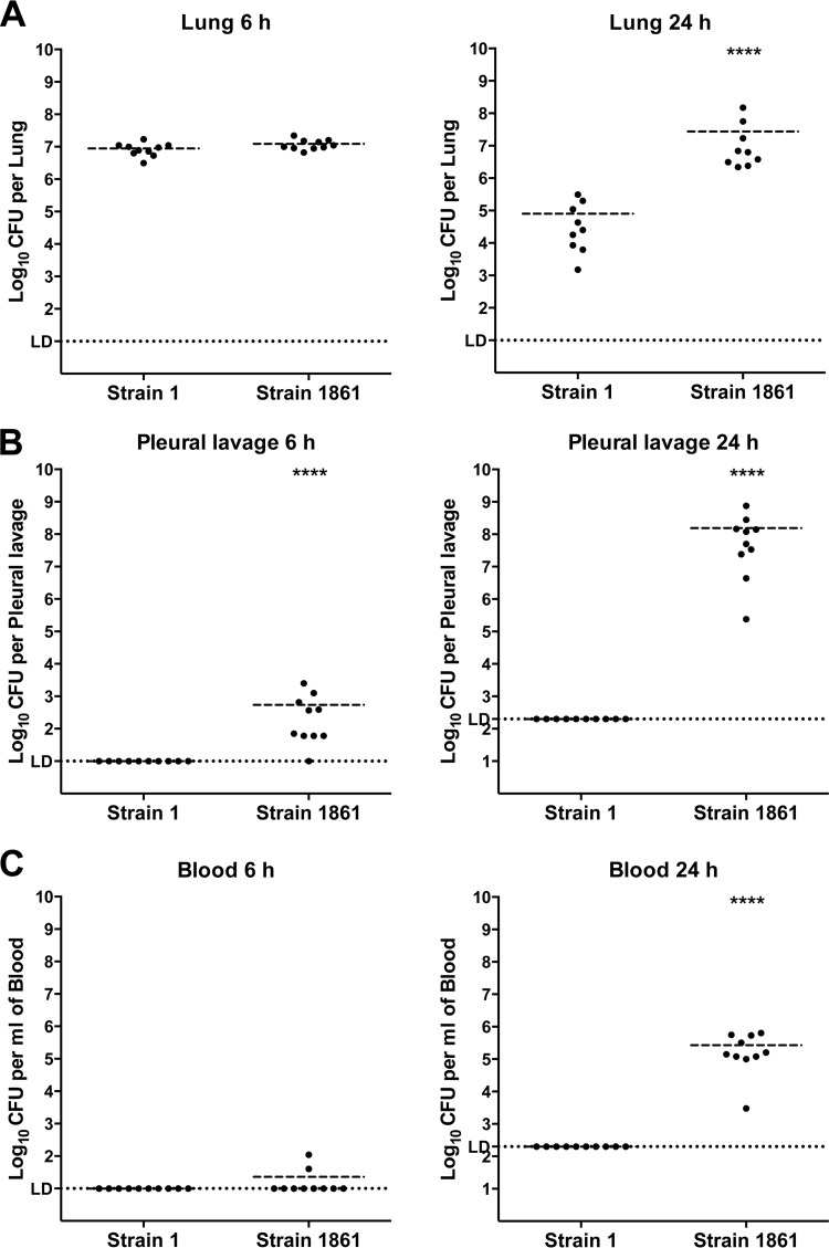 FIG 1