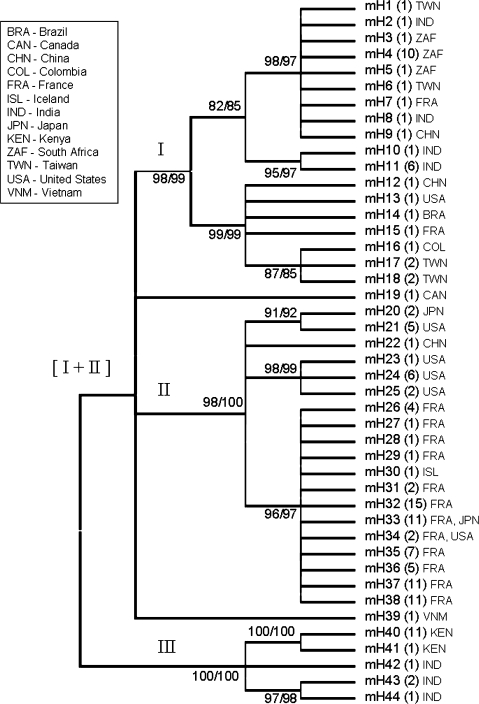 FIG. 3.