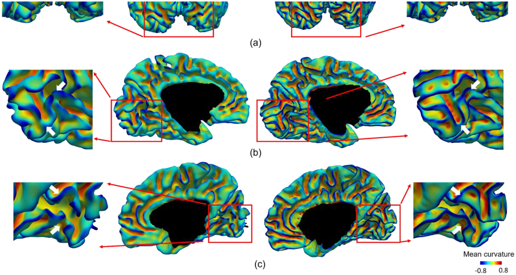 Fig. 9.