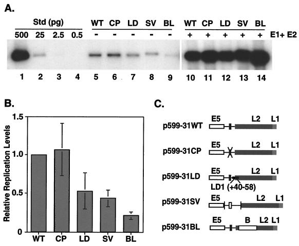 FIG. 4