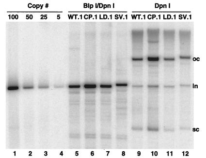 FIG. 5