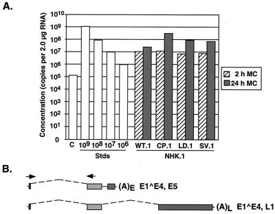 FIG. 6