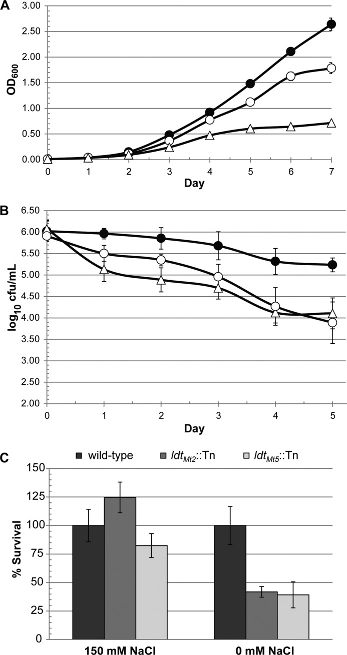 FIGURE 7.