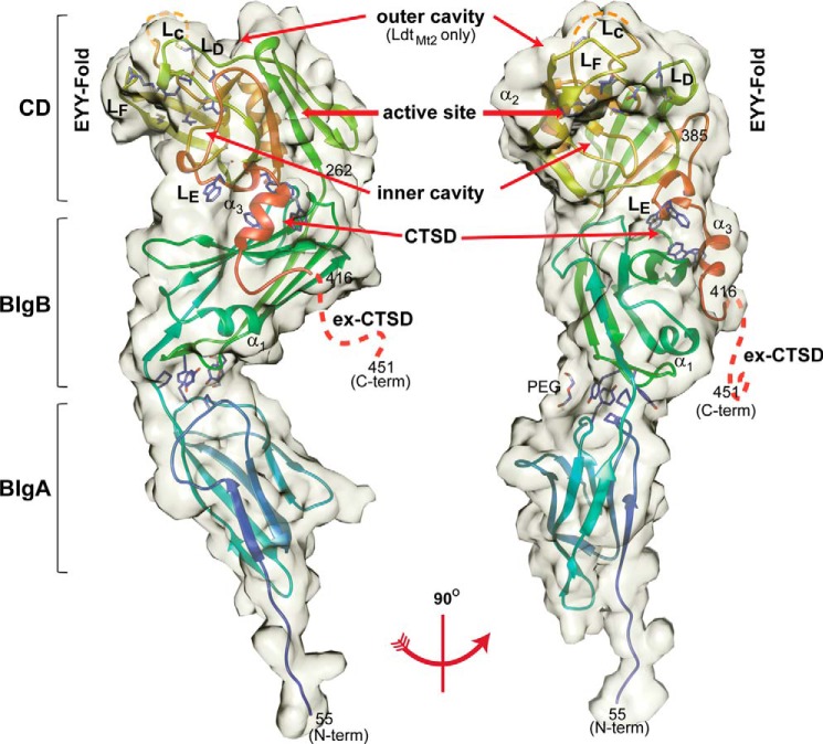 FIGURE 1.