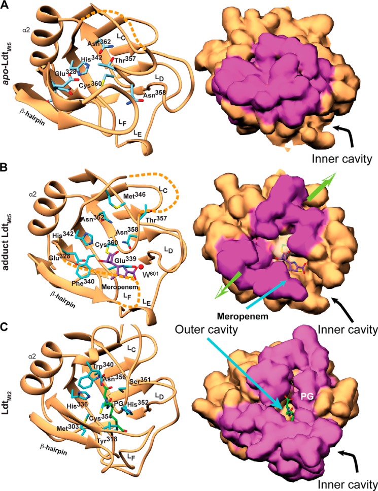 FIGURE 3.