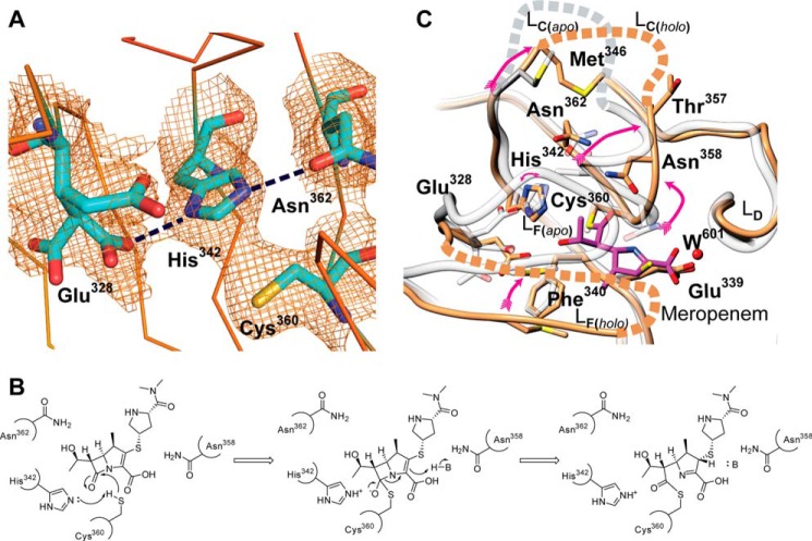 FIGURE 4.