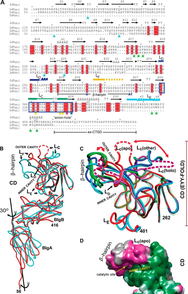 FIGURE 2.