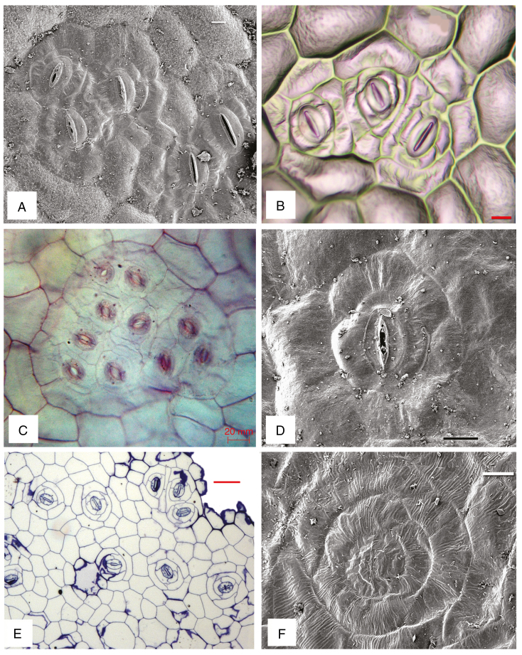 Fig. 3.