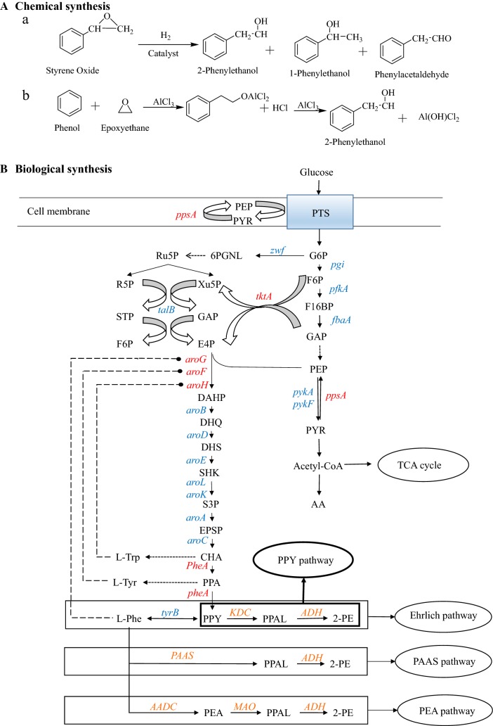 Fig. 1