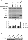 FIG. 7