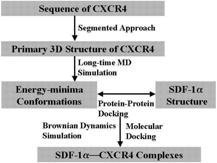 SCHEME 1