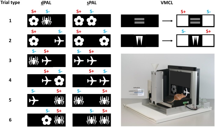 Figure 6