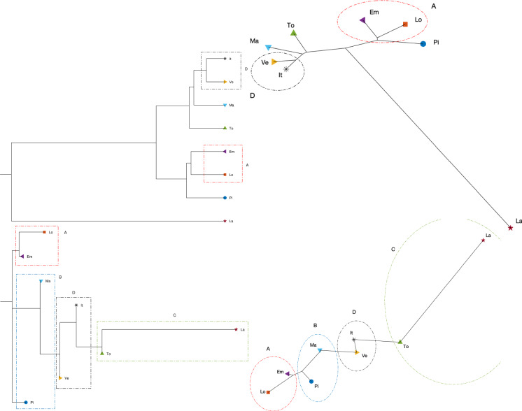 Fig. 31