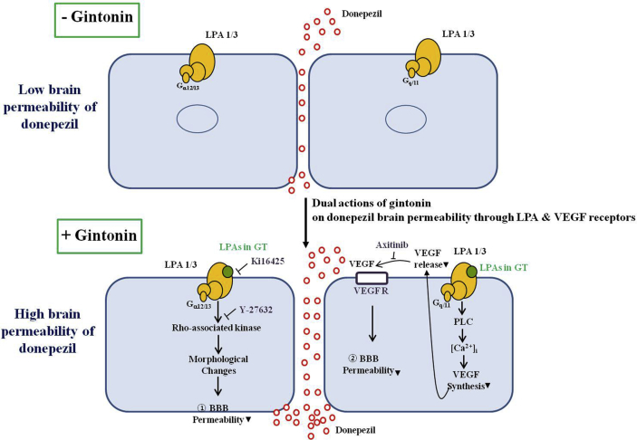 Fig. 7