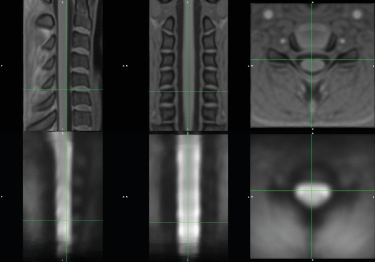 Figure 2—figure supplement 4.