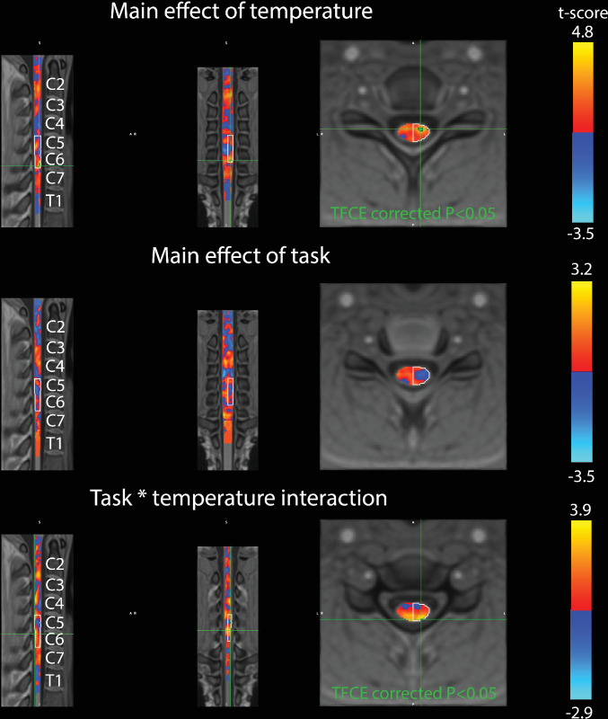 Figure 4—figure supplement 2.