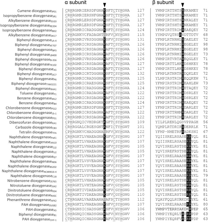 FIG 6