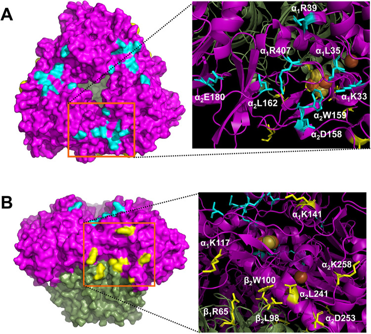 FIG 2