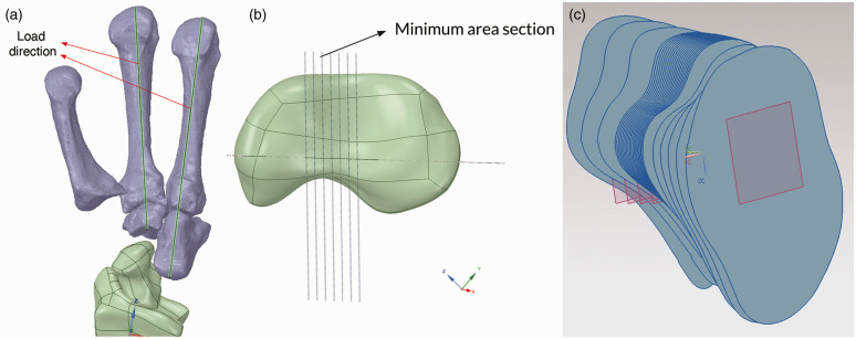 Figure 2.