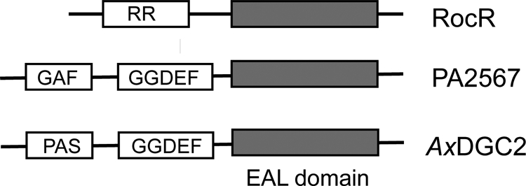 FIG. 3.