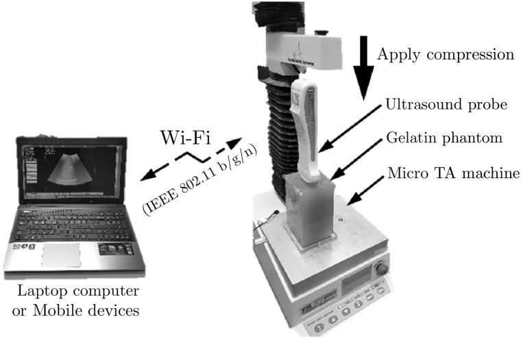 Fig. 5