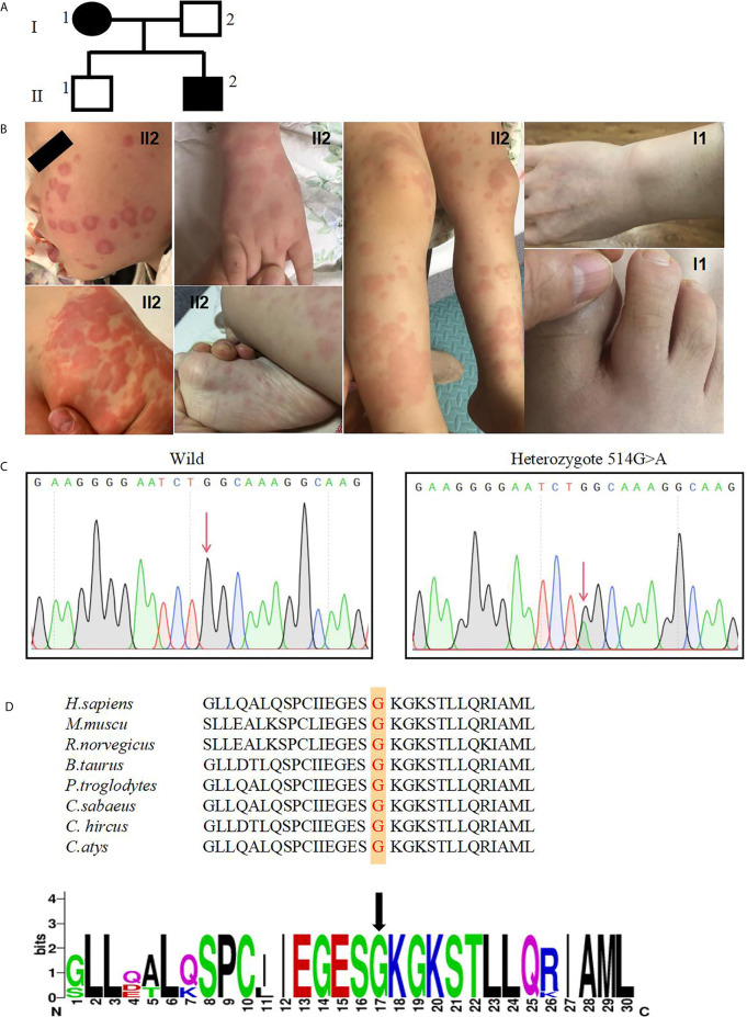 Figure 1